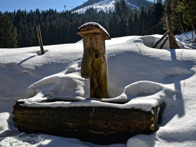 Almhütte im Wander-Bike-Skiparadies Saalbach STO-SBG