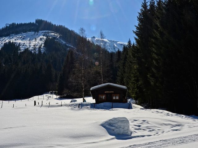 Almhütte im Wander-Bike-Skiparadies Saalbach STO-SBG