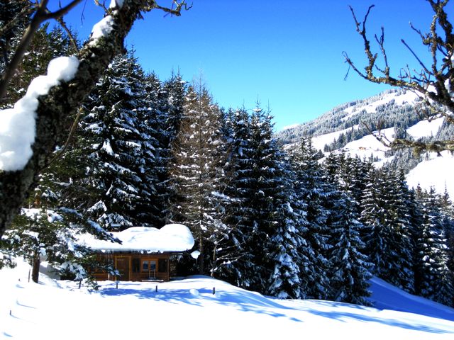 Almhütte im Wander-Bike-Skiparadies Saalbach STO-SBG