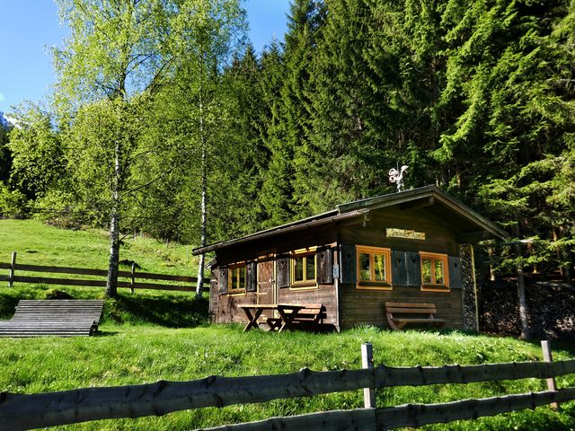 Almhütte im Wander-Bike-Skiparadies Saalbach STO-SBG