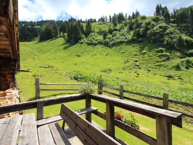 Amhütte in Maria Alm ULA-SBG