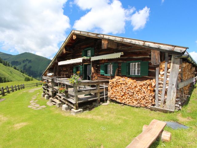 Amhütte in Maria Alm ULA-SBG