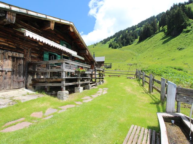 Amhütte in Maria Alm ULA-SBG
