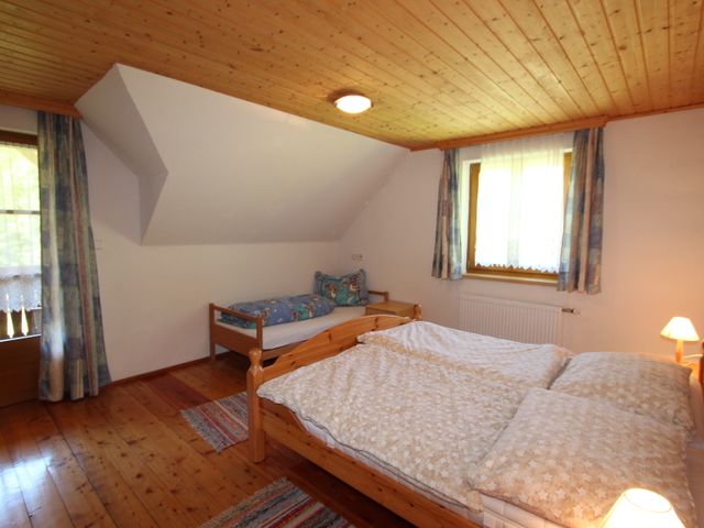 Komfortable Almhütte in Donnersbach DON-STM