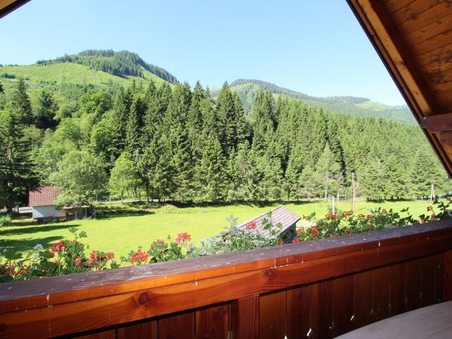 Komfortable Almhütte in Donnersbach DON-STM