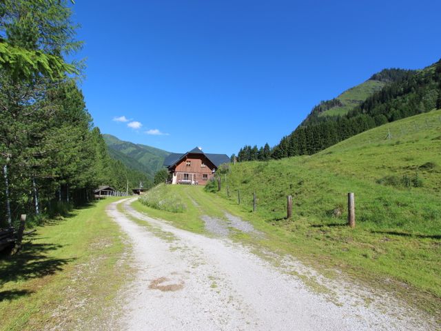 Komfortable Almhütte in Donnersbach DON-STM