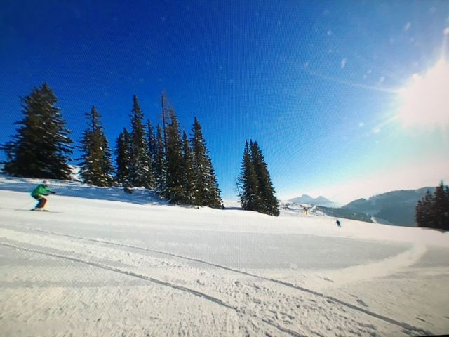 Almhütte in Tauplitz PAN-STM