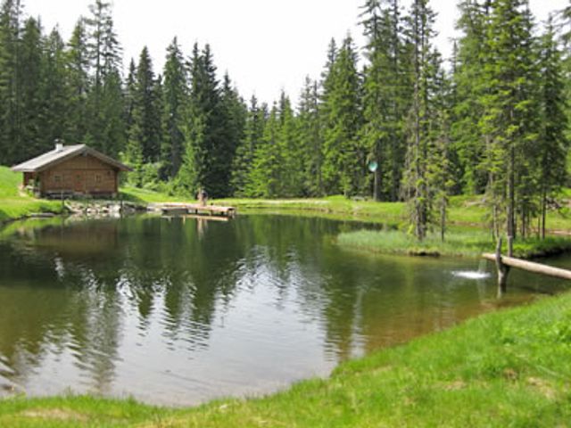 Almhütte in Forstau nahe Radstadt in Forstau FOR-SBG
