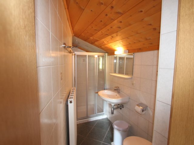 Almhütte in Forstau nahe Radstadt in Forstau FOR-SBG