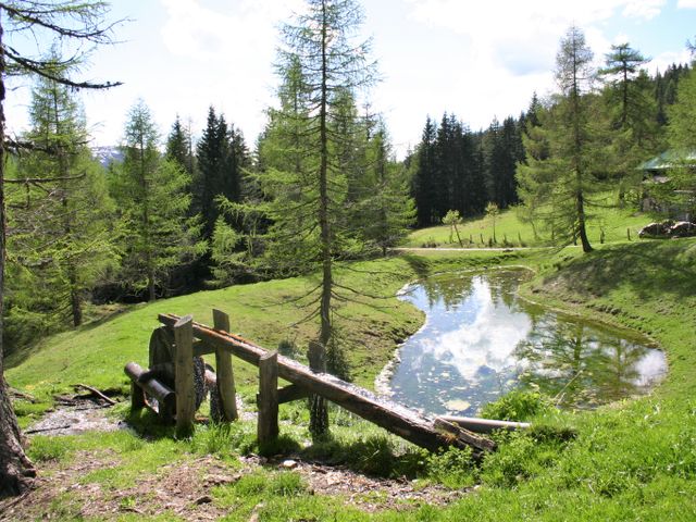 Almhütte in Filzmoos TEN-SBG