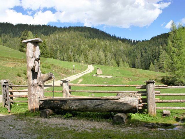 Almhütte in Filzmoos TEN-SBG