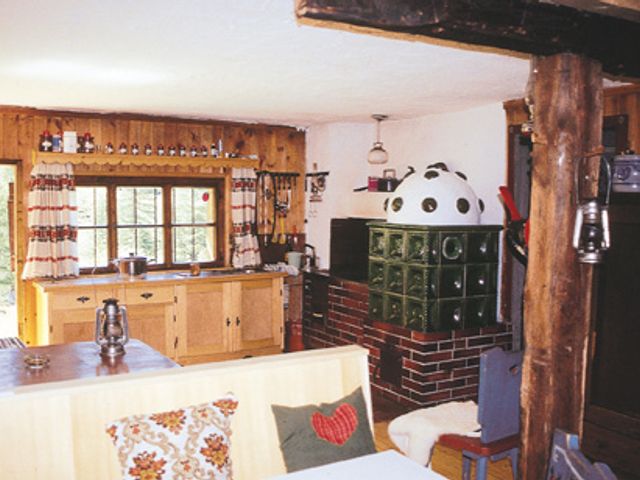 Almhütte in Flachauwinkel SOM-SBG