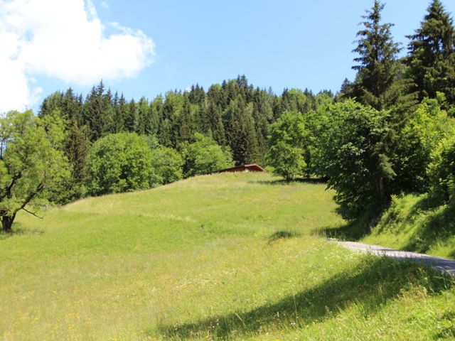 Almhütte im Alpendorf in St.Johann im Land Salzburg KEN-SBG