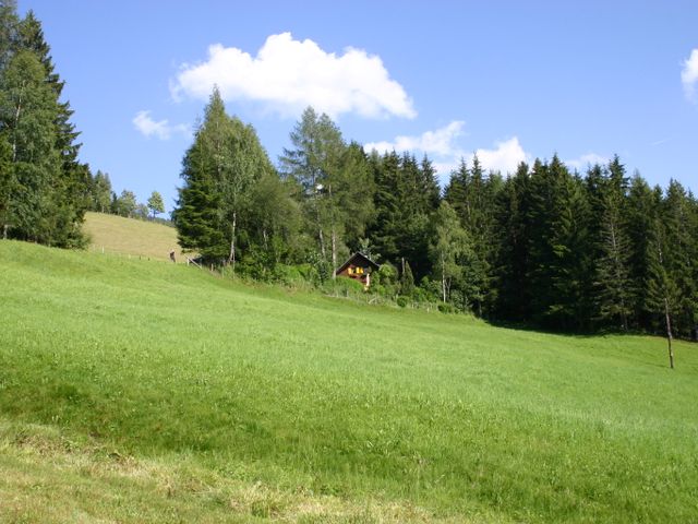 Almhütte in Irdning IRD-STM