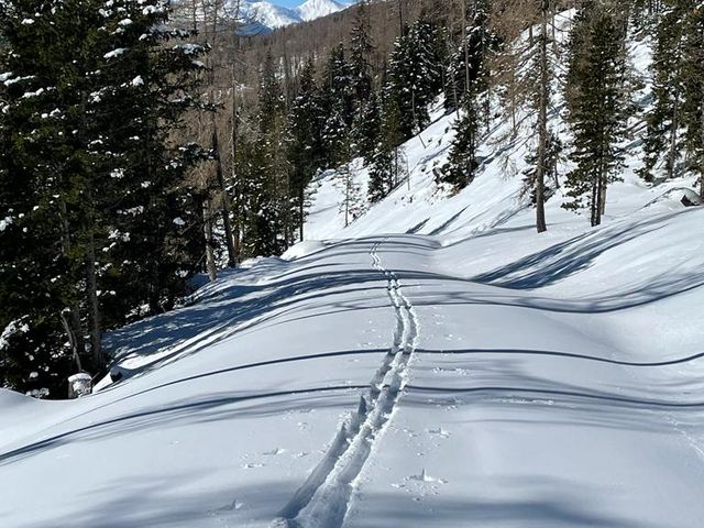 Almhütte nähe Prebersee in Tamsweg im Land Salzburg BER-SBG
