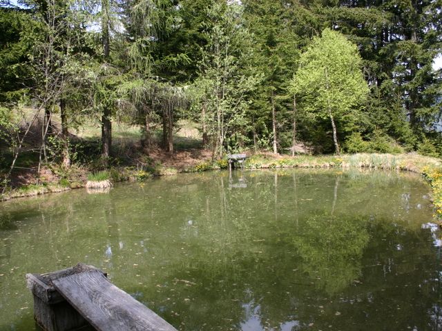 Almhütte in Maria Hof LIB-STM