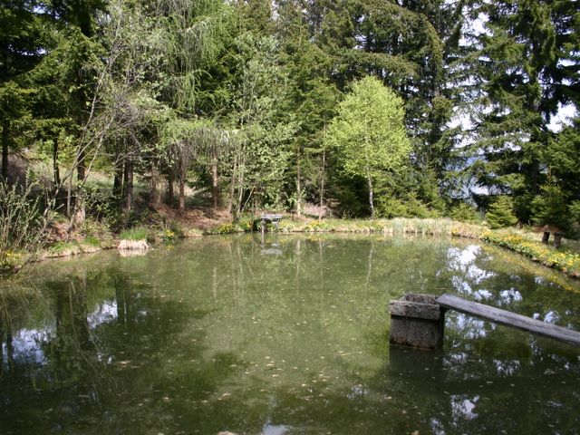 Almhütte in Maria Hof LIB-STM