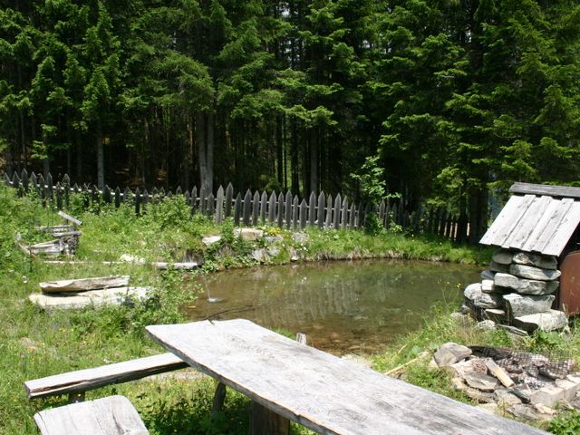 Almhütte in Zederhaus im Lungau ONT-SBG