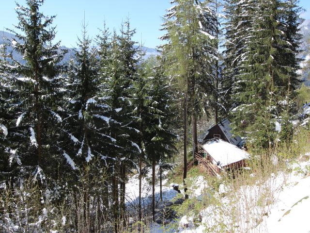 Almhütte bis 4 Personen in Muarau-Steiermark ERT-STM