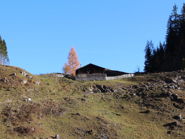 Almhütte im Gasteinertal DOR-SBG