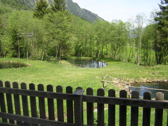 Almhütte in Rauris RAU-SBG