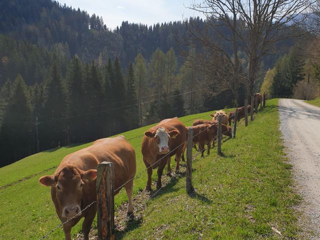 Almhütte in St. Jakob-Breitenau SLA-STM