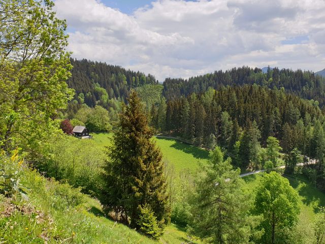 Almhütte in St. Jakob-Breitenau SLA-STM